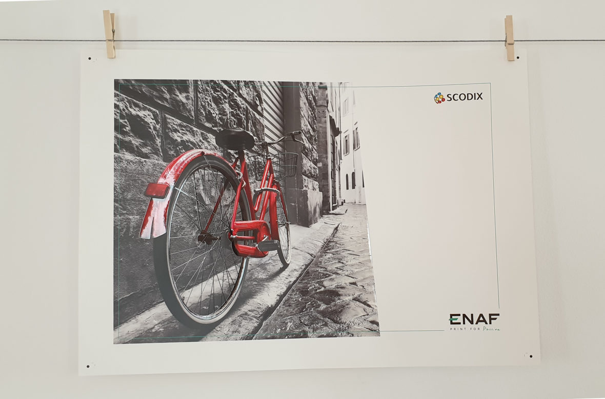 Plakat Enaf