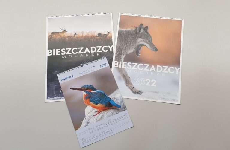 Kalendarz Bieszczadzcy Mocarze